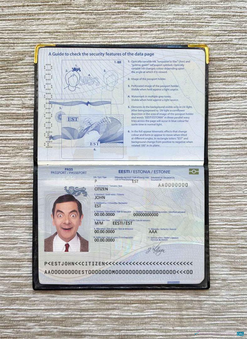 Download Estonia passport photo look Photoshop template